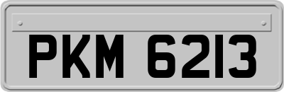 PKM6213