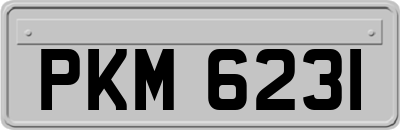 PKM6231