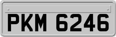 PKM6246