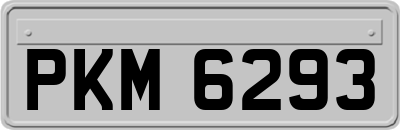 PKM6293