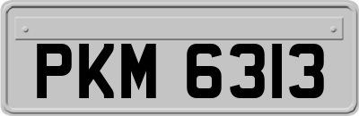 PKM6313