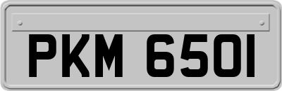 PKM6501