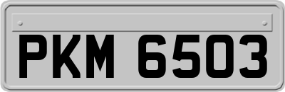 PKM6503