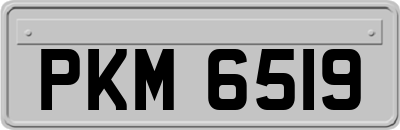 PKM6519