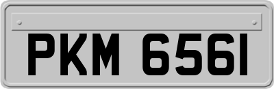 PKM6561