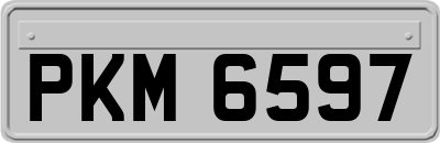 PKM6597
