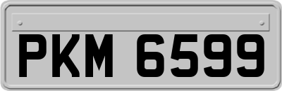 PKM6599