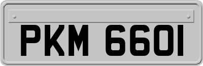 PKM6601