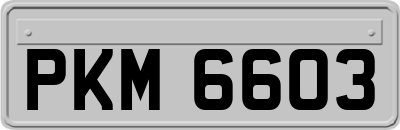 PKM6603