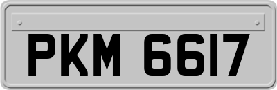 PKM6617