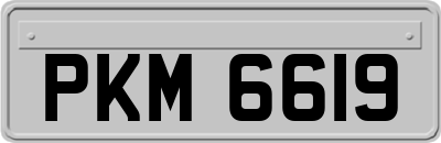 PKM6619