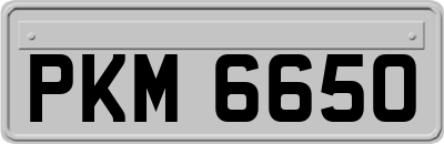 PKM6650