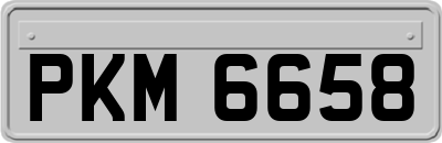 PKM6658