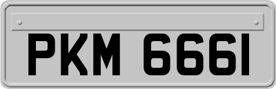 PKM6661