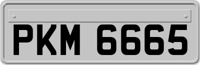 PKM6665