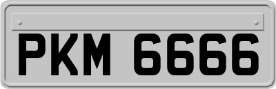 PKM6666