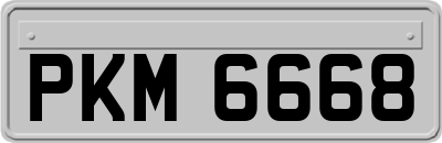PKM6668