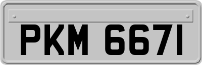PKM6671