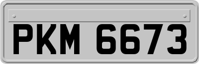 PKM6673