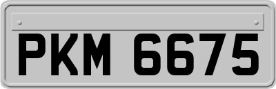 PKM6675