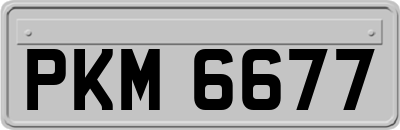 PKM6677