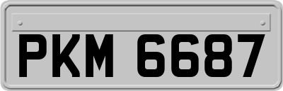 PKM6687