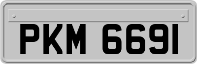 PKM6691