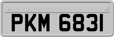 PKM6831