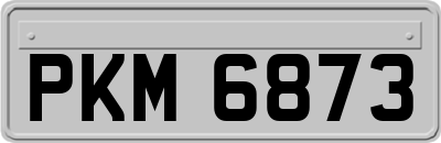 PKM6873