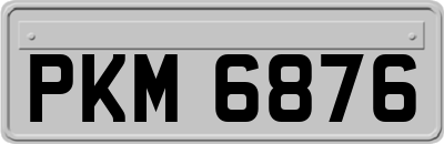 PKM6876