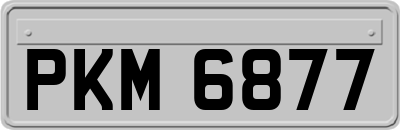 PKM6877