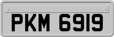 PKM6919