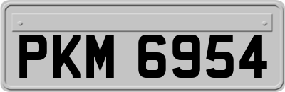 PKM6954