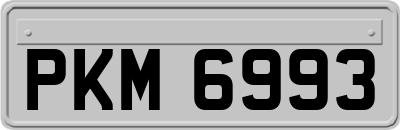 PKM6993