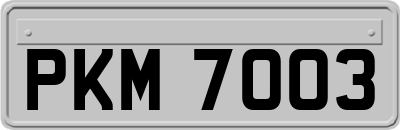 PKM7003