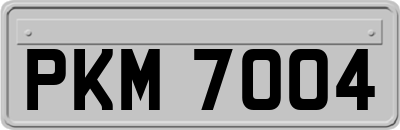 PKM7004