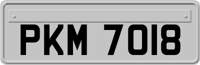 PKM7018
