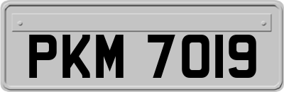 PKM7019