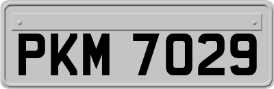PKM7029