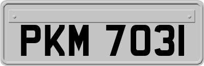 PKM7031