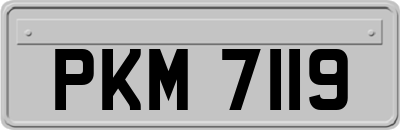 PKM7119