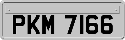 PKM7166