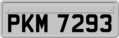 PKM7293