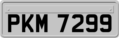 PKM7299