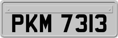 PKM7313