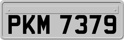 PKM7379