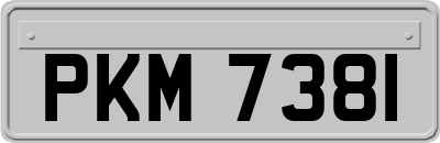 PKM7381