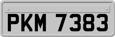PKM7383
