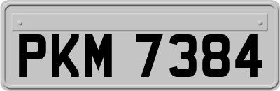 PKM7384