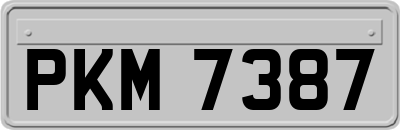 PKM7387
